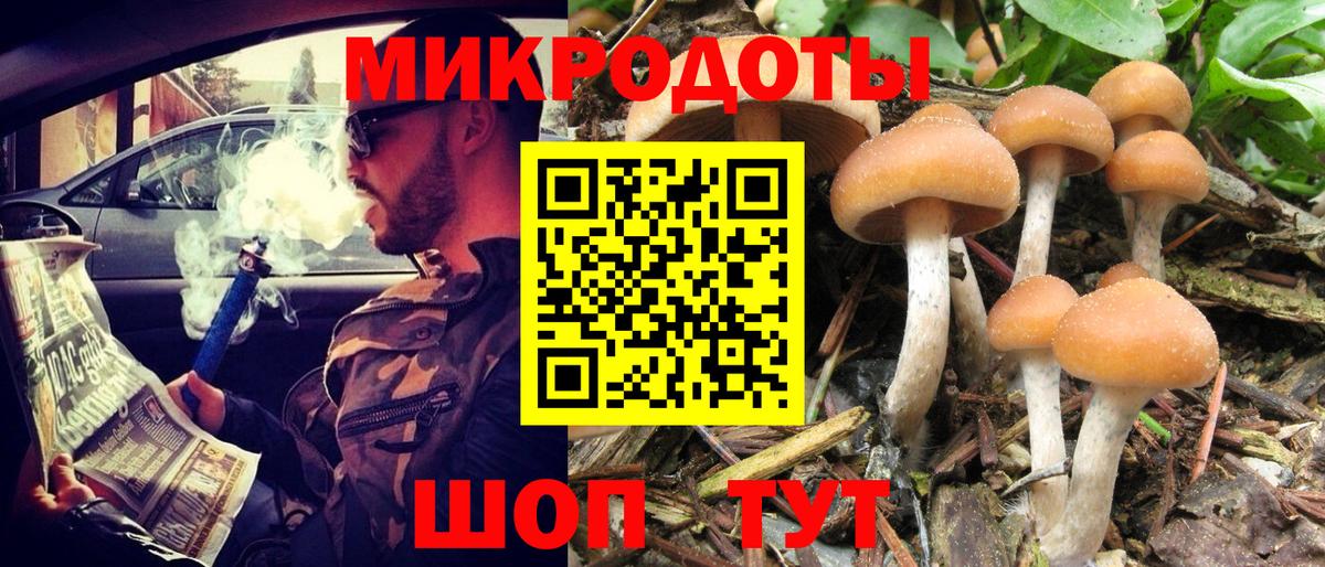 где продают наркотики  Вход с VPN  Куйбышев  Галлюциногенные грибы мицелий 